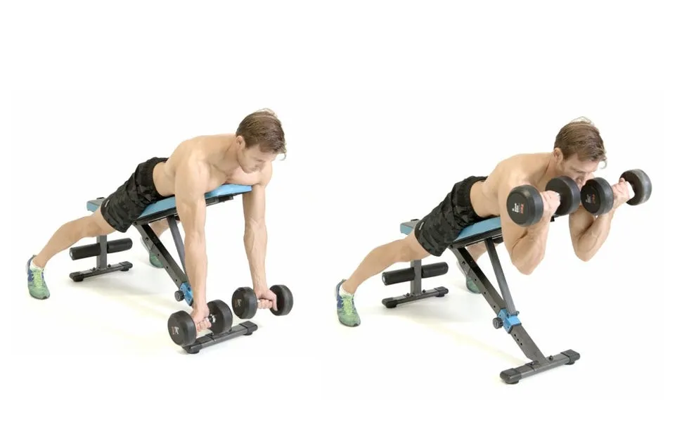 19. جلو بازو عنکبوتی با دمبل (Dumbbell Spider Curl)