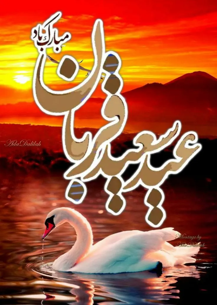 استوری تبریک عید قربان