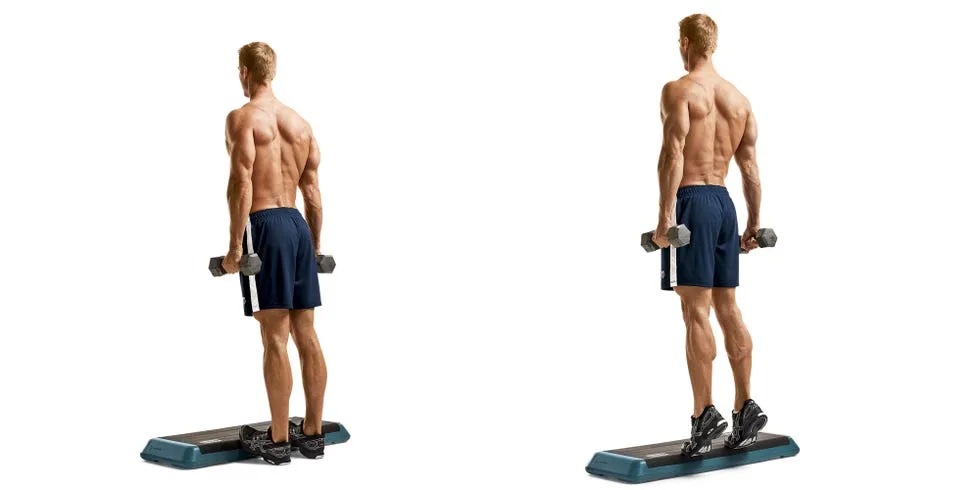 ساق پا دمبل (Dumbbell Calf Raise)