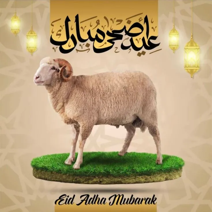 عکس نوشته تبریک عید قربان طنز
