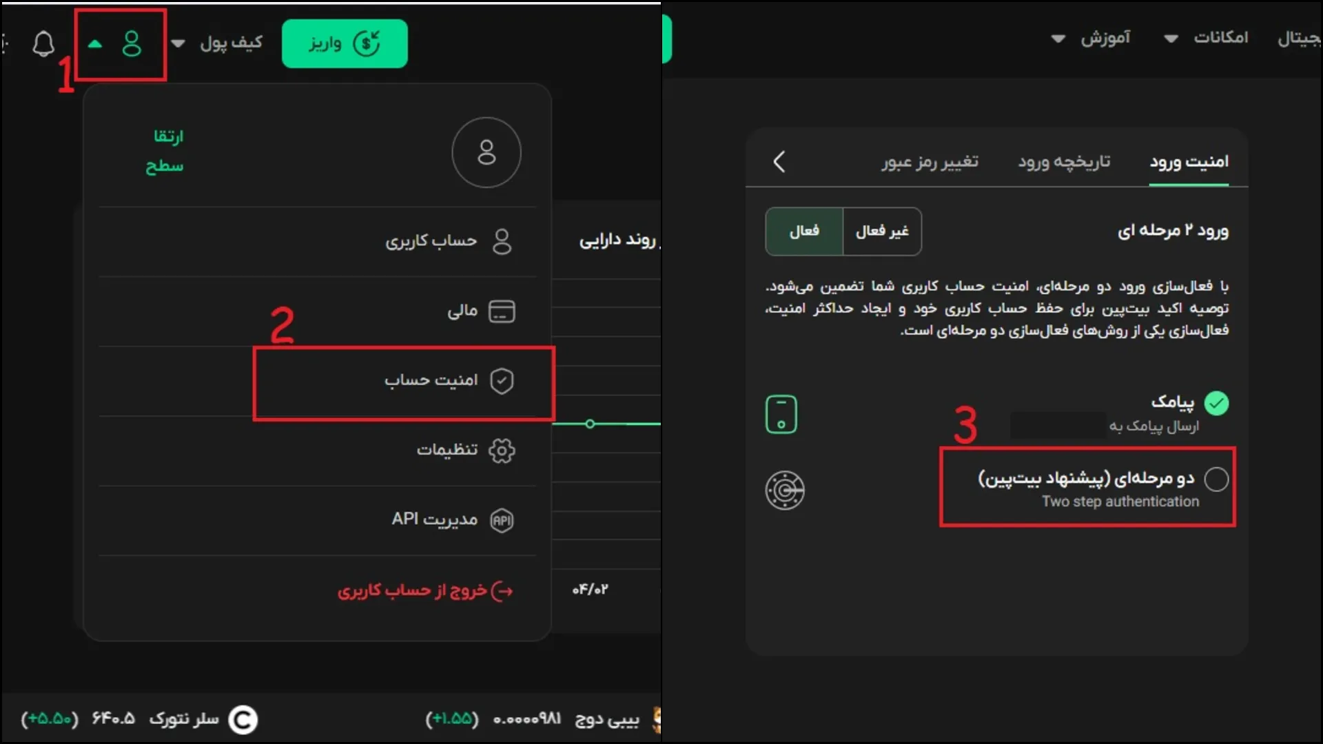 ورود دو مرحله ای بیت پین