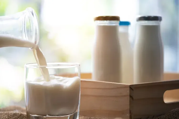 لبنیات کم‌چرب