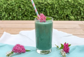 طرز تهیه ی اسپرولینای آبی، اسموتی جادویی انرژی بخش