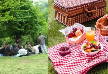 لیست کامل وسایل مورد نیاز پیک نیک | از غذا تا وسایل ضروری