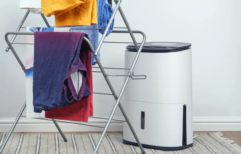 Using a dehumidifier
