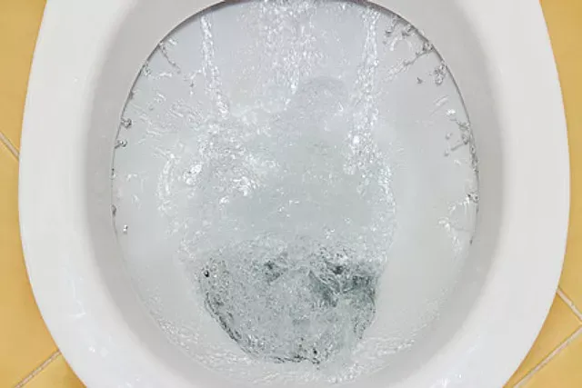 فلاپر جدید را آزمایش کنید