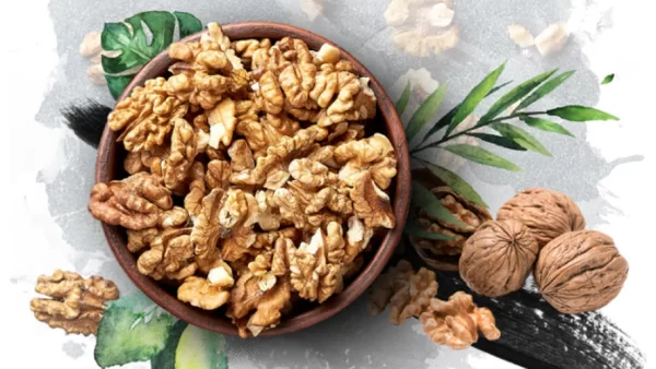 قیمت گردو