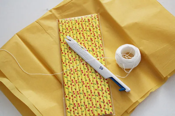 Csupplies-for-paper-straw-ki 