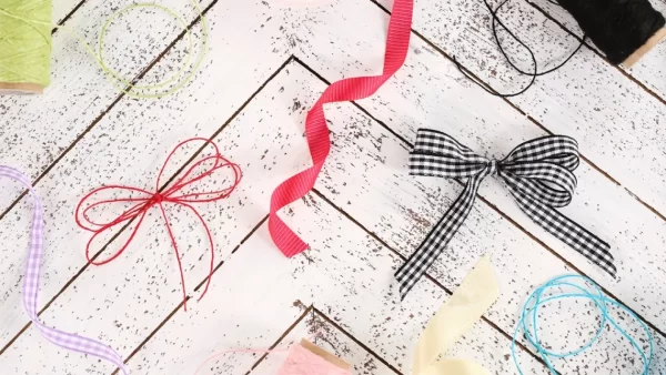twine vs ribbon bow 1 آموزش پاپیون دوبل با روبان، راهنمای تصویری 