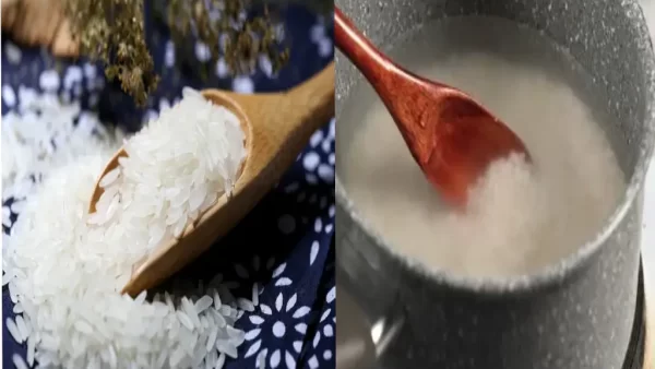 تشخیص برنج پلاستیکی از اصل