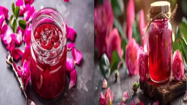 تهیه مربای گل محمدی