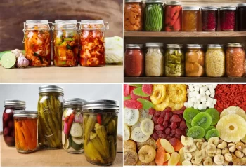 نگهداری مواد غذایی