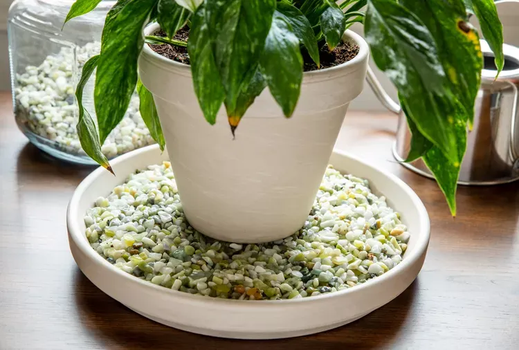 how-to-make-a-pebble-tray-