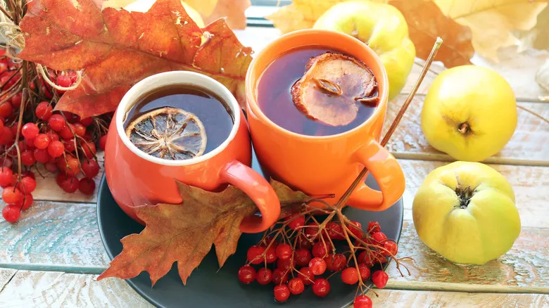 طرز تهیه چای به