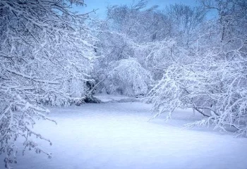 ورود سامانه بارشی از دوشنبه / آخر هفته برف می بارد