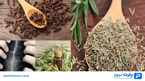 طرز تهیه اسپری رزماری و میخک برای تقویت مو
