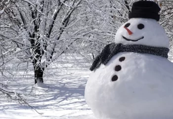 ایران بالاخره سفید پوش شد / ویدئوی نخستین برف ۱۴۰۴