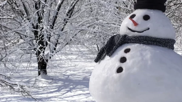 ایران بالاخره سفید پوش شد / ویدئوی نخستین برف ۱۴۰۴