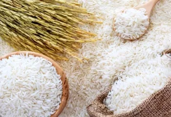 قیمت برنج به زیر هفتا تومان رسید + قیمت شکر