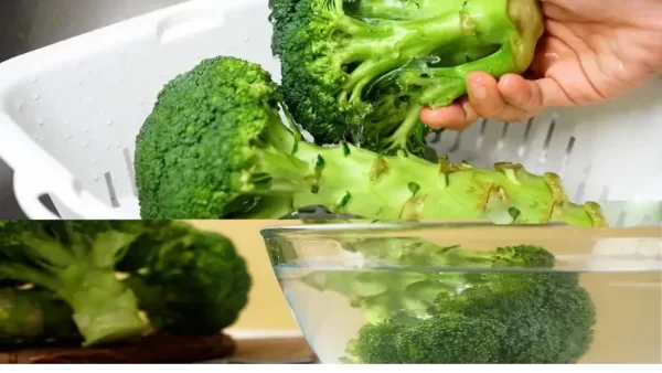 تمیز کردن کلم بروکلی