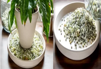 ساخت جزیره گلدان آموزش تصویری ساخت جزیره گلدان؛ از صفر تا صد با کمترین هزینه