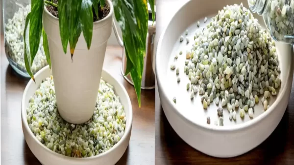 ساخت جزیره گلدان آموزش تصویری ساخت جزیره گلدان؛ از صفر تا صد با کمترین هزینه