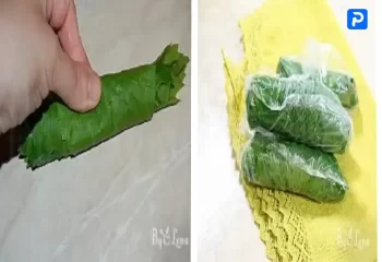 نگهداری برگ مو در فریزر