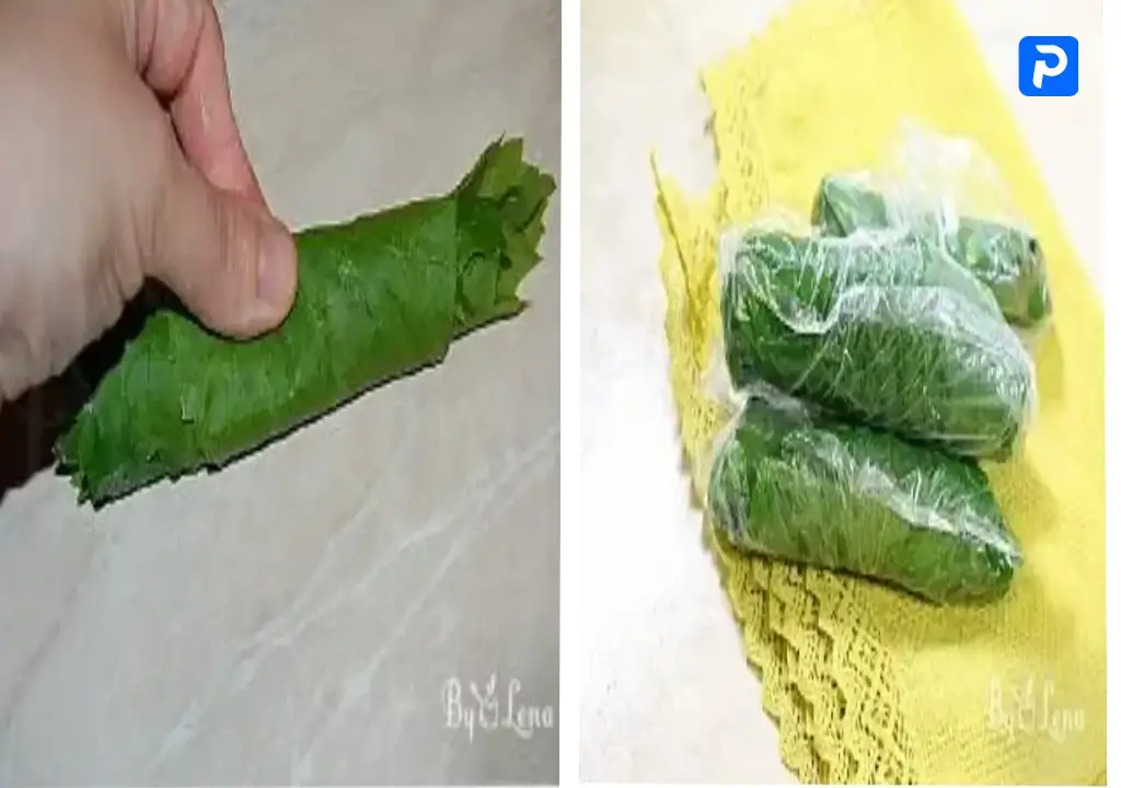 نگهداری برگ مو در فریزر