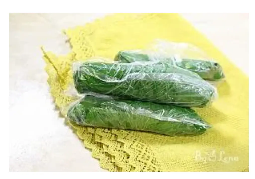 نگهداری برگ مو