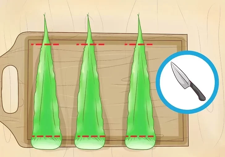 ژل آلوئه ورا