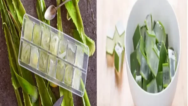 نگهداری ژل آلوئه ورا