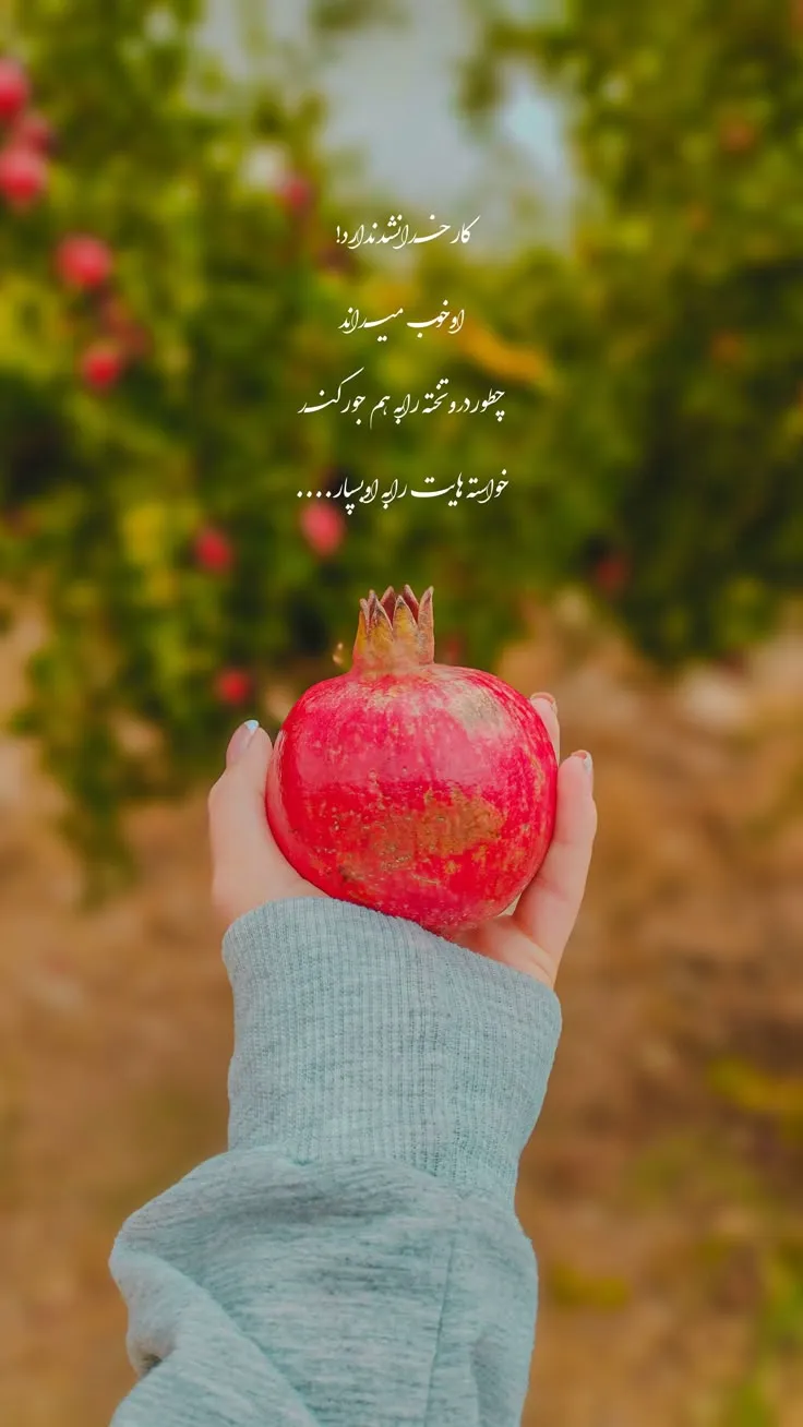 عکس استوری شب یلدا