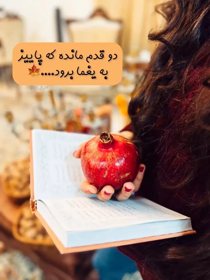 عکس استوری شب یلدا