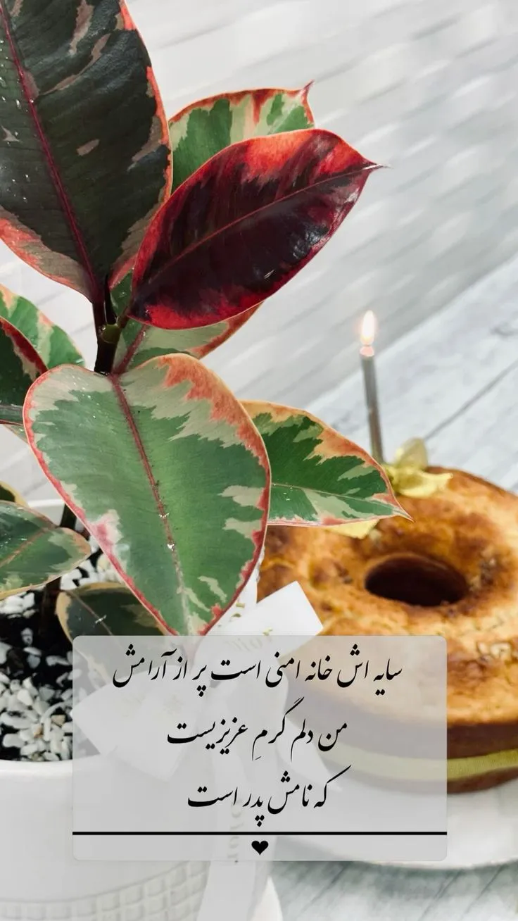 عکس روز پدر با متن قشنگ برای استوری