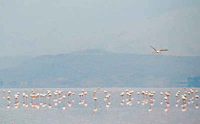 دریاچه بهارلو 