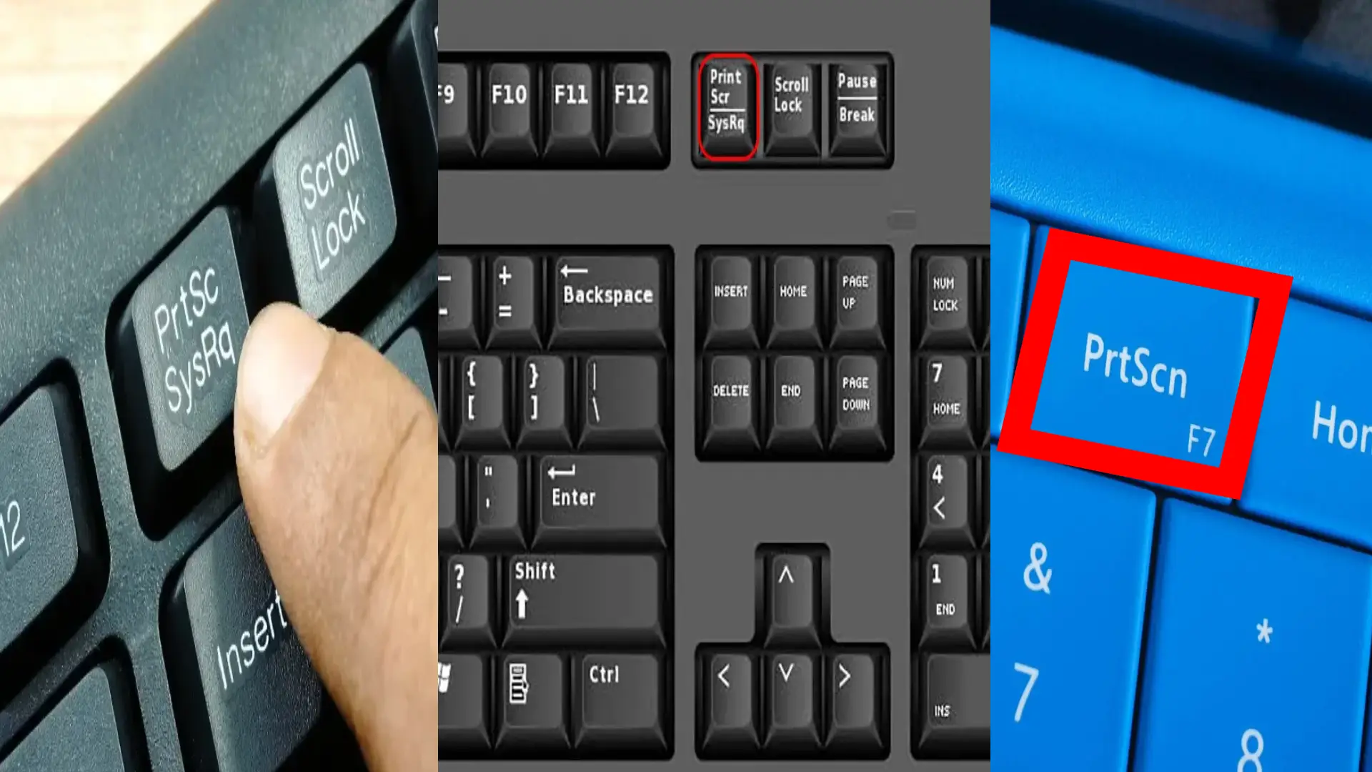 کلید Print Screen