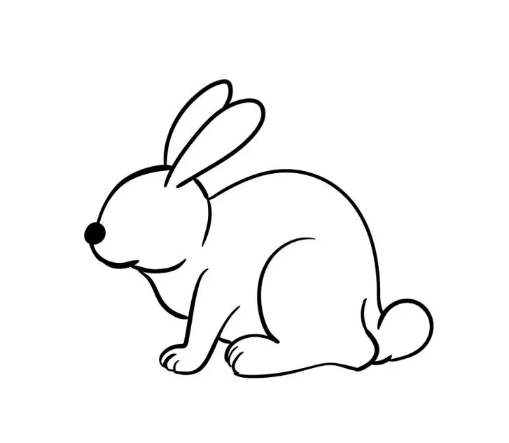 آموزش کشیدن نقاشی خرگوش