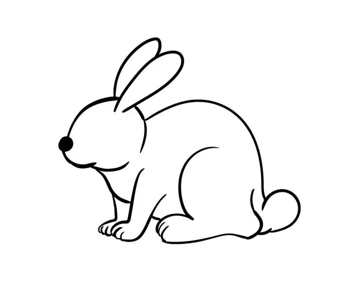 آموزش کشیدن نقاشی خرگوش