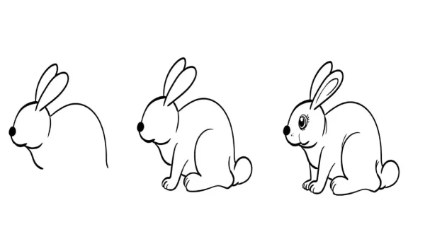 آموزش کشیدن نقاشی خرگوش