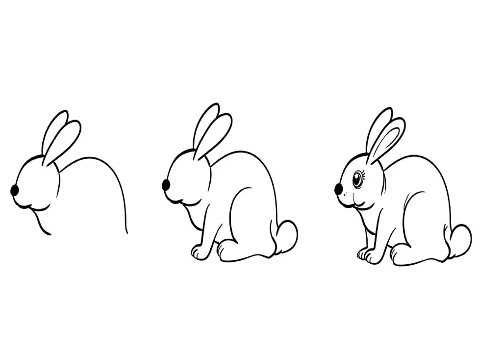 آموزش کشیدن نقاشی خرگوش