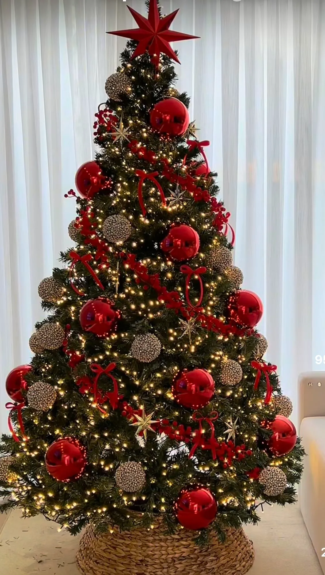 تزیین درخت با ریسه