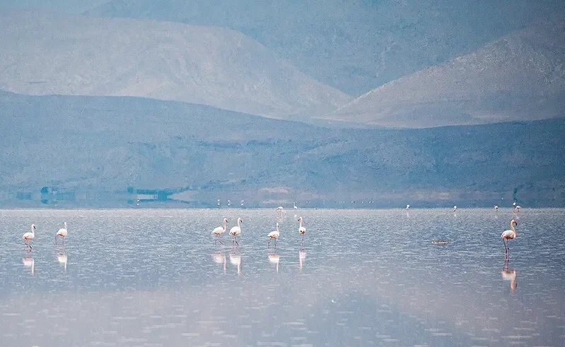 دریاچه بهارلو فارس