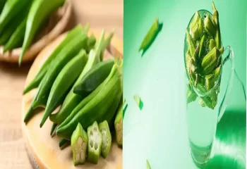 طرز تهیه ژل بامیه