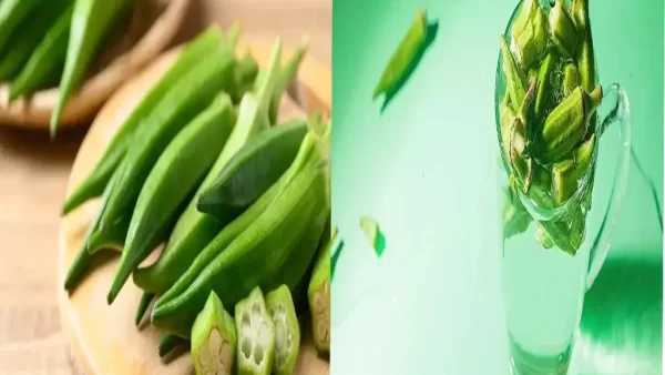 طرز تهیه ژل بامیه