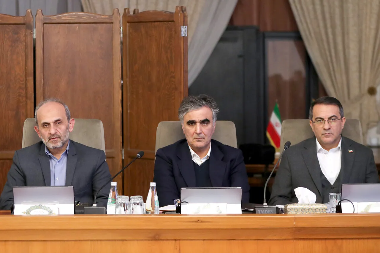 فرزین در جلسه دولت