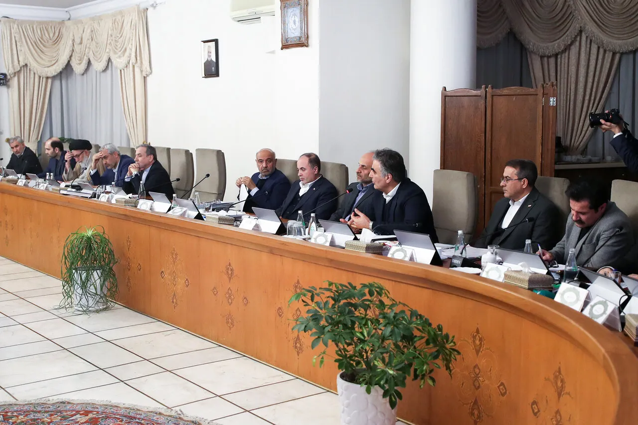 فرزین در جلسه دولت