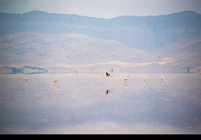 دریاچه بهارلو 