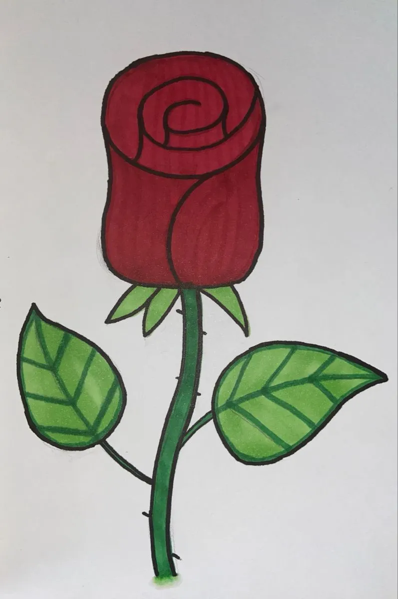 نقاشی گل رز ساده 