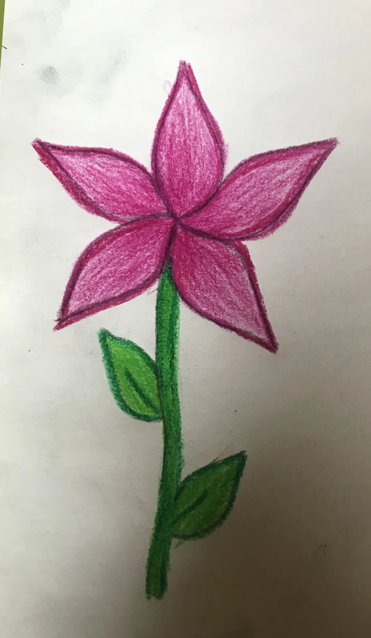 نقاشی گل زیبا و ساده