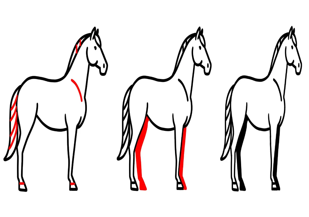 کشیدن نقاشی اسب